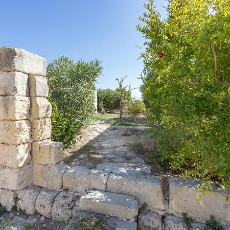 Bed & Breakfast Masseria Torre Sant'andrea *